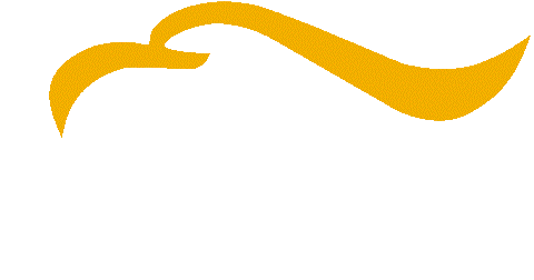 Tiablo Since 2007